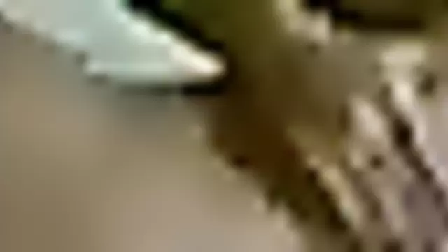 Tacik kız, sevgilisinin aletini keyifle yalıyor.